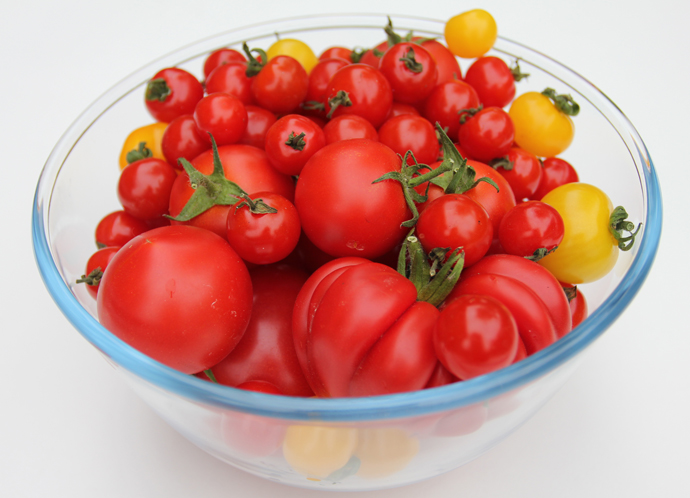 tomatoes-in-bowl