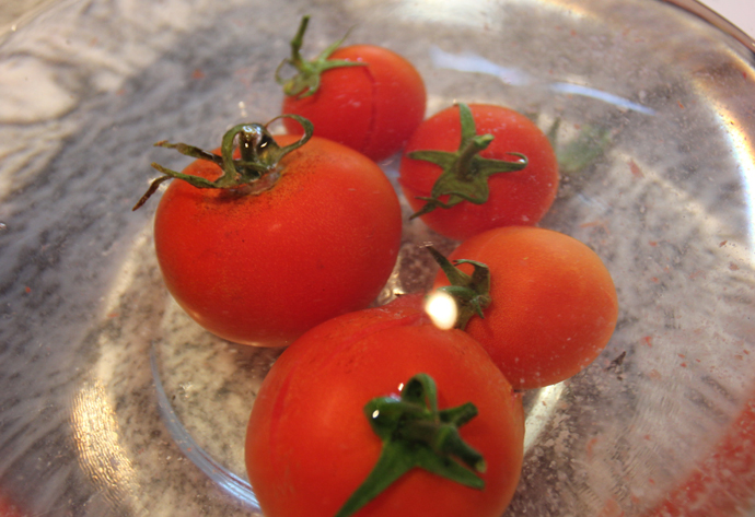 tomatoes-in-water