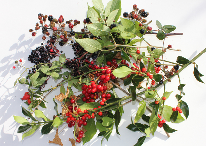 berry-group